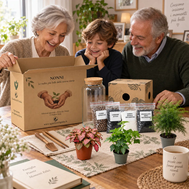 Kit Terrarium fai da te con scatola regalo, vaso in vetro, tre piantine, substrati decorativi e attrezzi per realizzare il terrarium