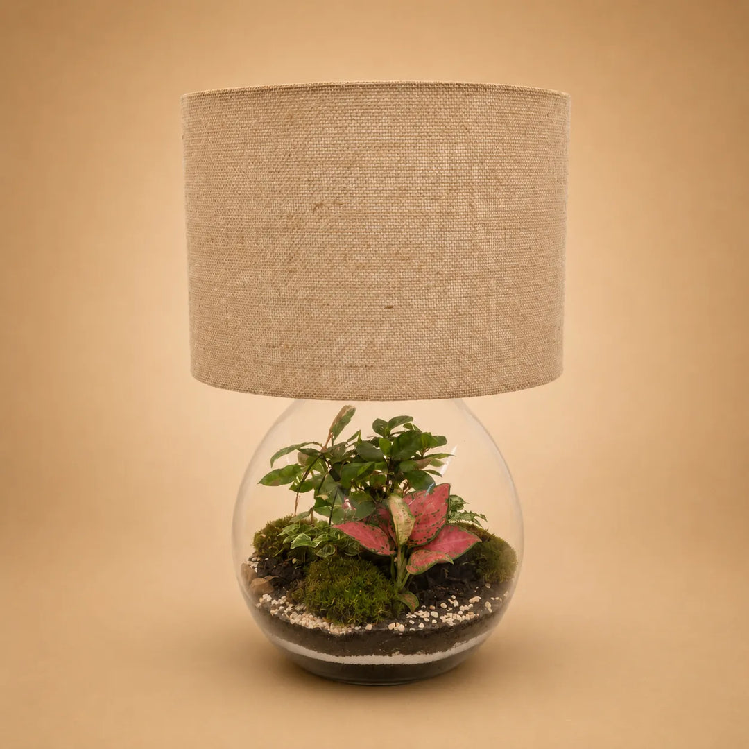 Lamparium Aida con paralume in juta naturale e terrarium in vetro con piante verdi, Fittonia rosa, muschio e substrato decorativo stratificato.