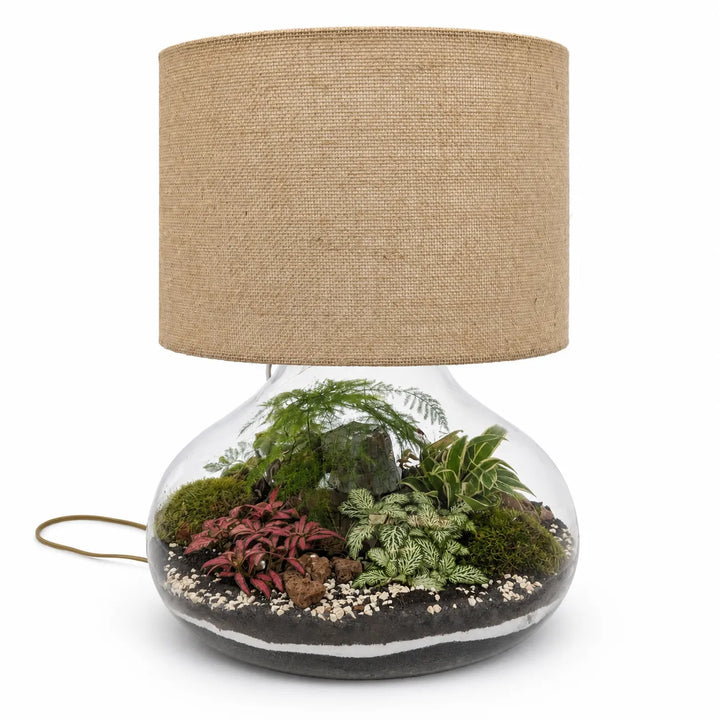 Lamparium Flora XXL con paralume in juta e terrarium in vetro contenente piante tropicali, muschi e substrati naturali su sfondo bianco.