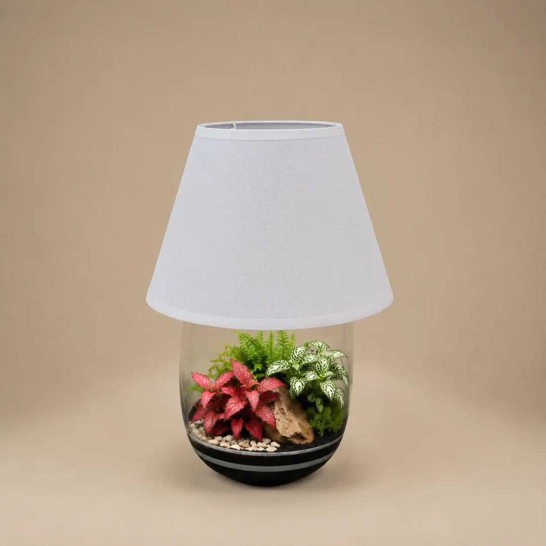 Lampada terrarium Oasi Lux Elegant con Fittonia rosa, Fittonia albivenis e muschio naturale all'interno di un vaso in vetro con paralume bianco.