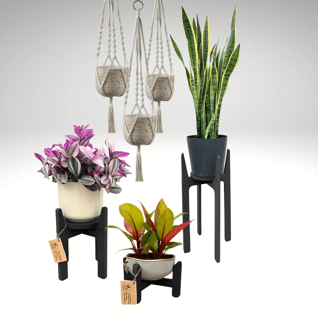 i Giardini di Giulia 