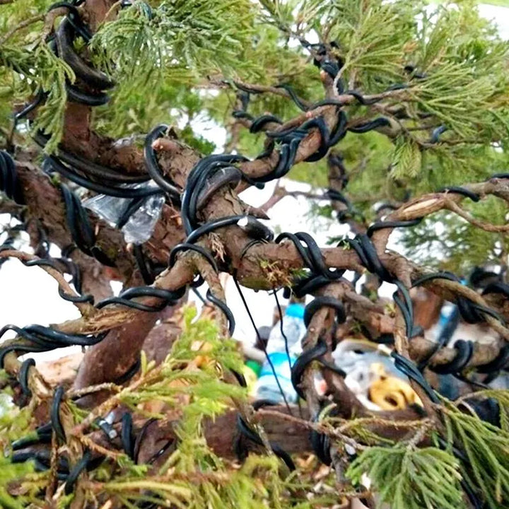 Filo di alluminio nero avvolto sui rami di un bonsai per modellatura e training della forma

