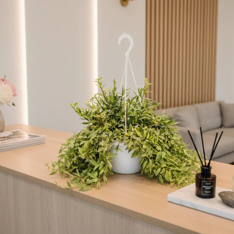Pianta ricadente variegata in vaso sospeso su piano in legno, ideale per arredare soggiorni moderni