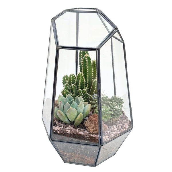 Terrarium 067G