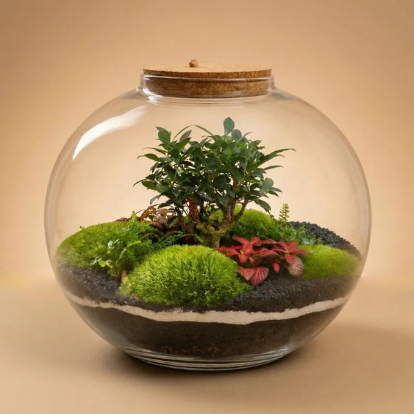 Terrarium Queen XXL con piante verdi
