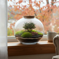 Terrarium piante grandi - Vista laterale del Terrarium Chloe con le sue dimensioni