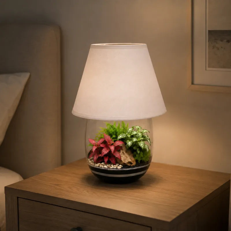 Kit de terrarium Lamparium moyen avec plantes vertes