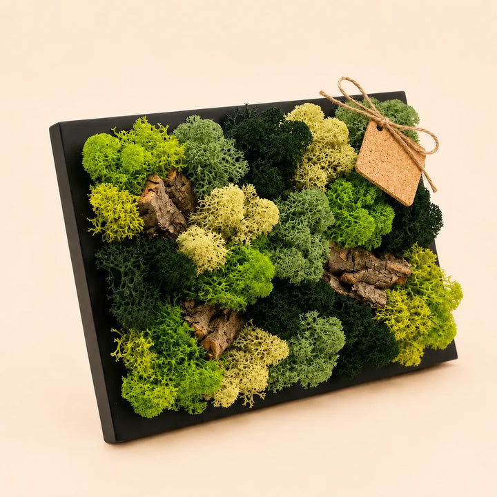 Quadro decorativo mini con muschio e licheni stabilizzati nelle tonalità verde chiaro e verde bosco, arricchito da dettagli in corteccia naturale su base nera.