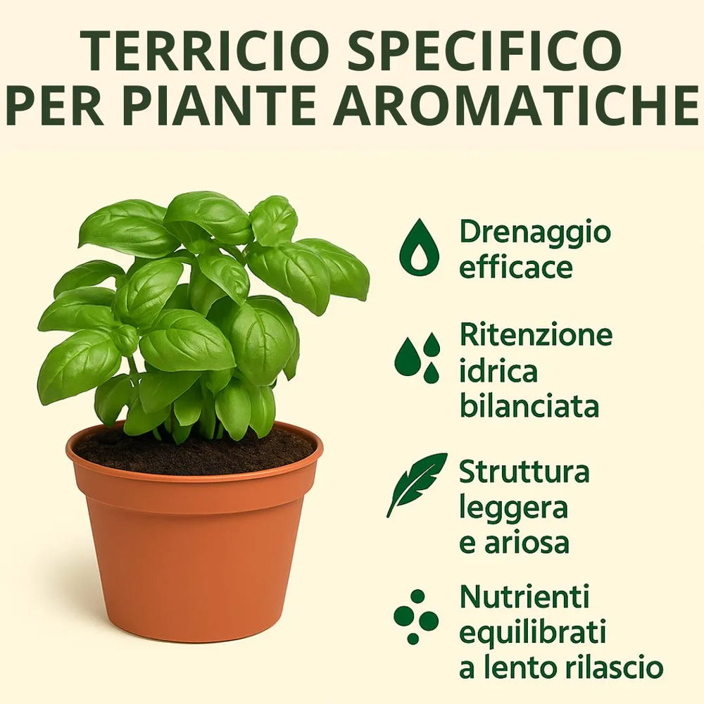 Terriccio specifico per piante aromatiche con basilico in vaso e caratteristiche del substrato: drenaggio efficace, ritenzione idrica bilanciata, struttura leggera e nutrienti a lento rilascio.