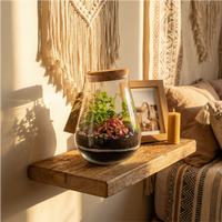 Terrarium in vetro con piante tropicali e muschio su mensola in legno con decorazioni boho, elemento naturale per arredare casa