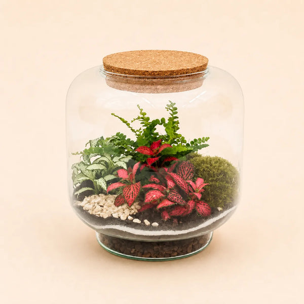 TERRARIUM HORTUS 17X17