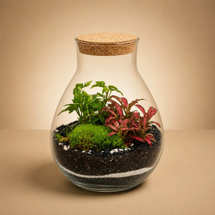 Terrarium Inside con piante verdi e Fittonia rossa all'interno di un contenitore in vetro con tappo in sughero. Giardino in vetro artigianale con muschio e substrato stratificato su sfondo beige.