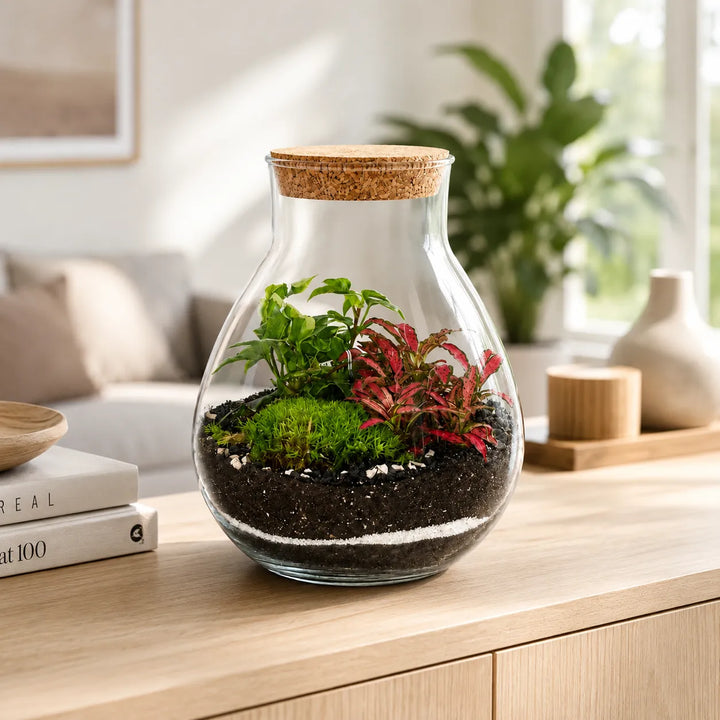 Terrarium Inside con piante verdi e Fittonia rossa all'interno di un vaso in vetro con tappo in sughero, appoggiato su una credenza in legno chiaro in un ambiente elegante e contemporaneo.