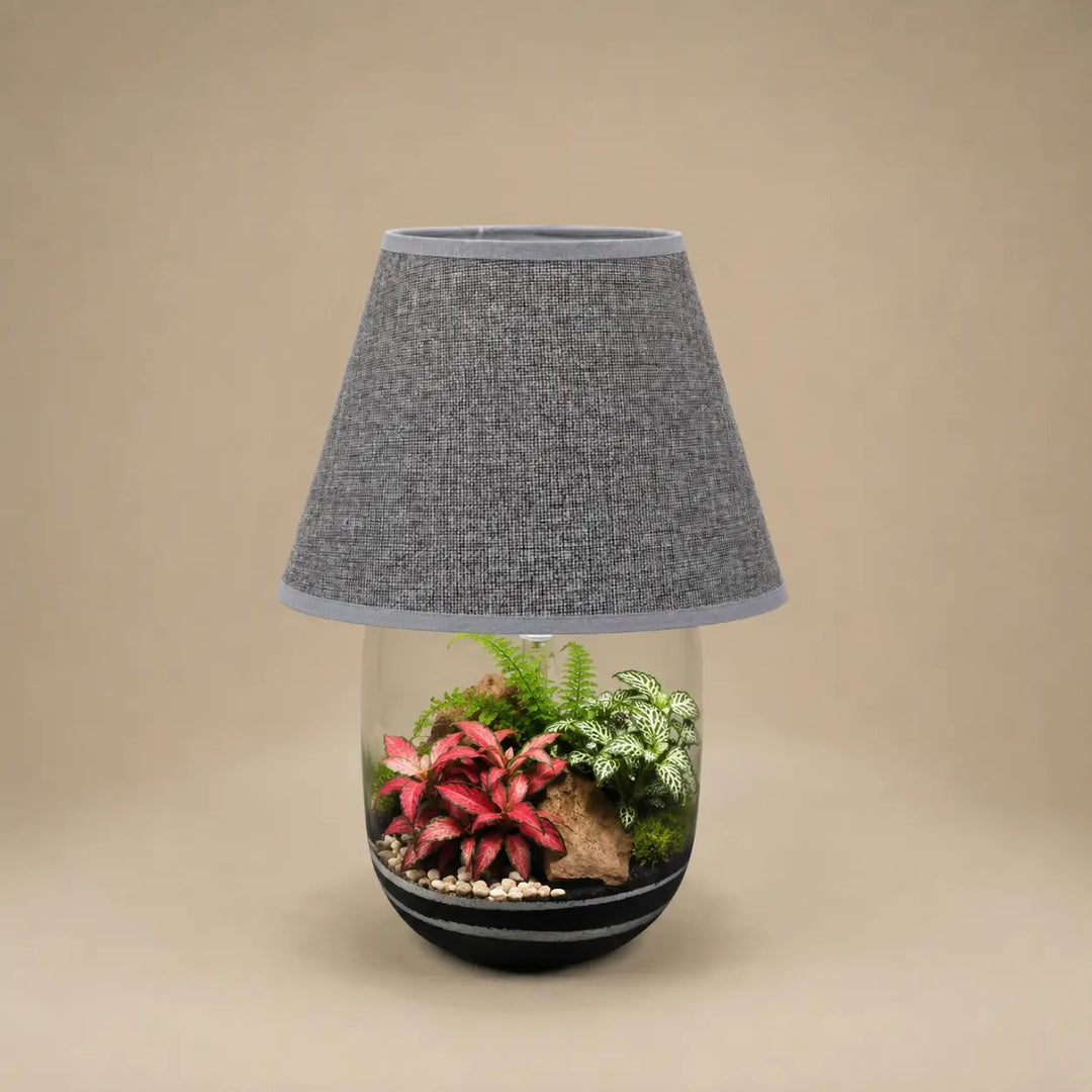 Terrarium Lamparium Oasi Lux Elegant con Fittonia rosa, Fittonia bianca e felce in vaso di vetro illuminato da elegante paralume grigio.