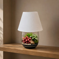 Terrarium Oasi Lux Elegant inserito in una lampada da tavolo con paralume bianco, perfetto per mensole, librerie e arredamento d'interni contemporaneo.