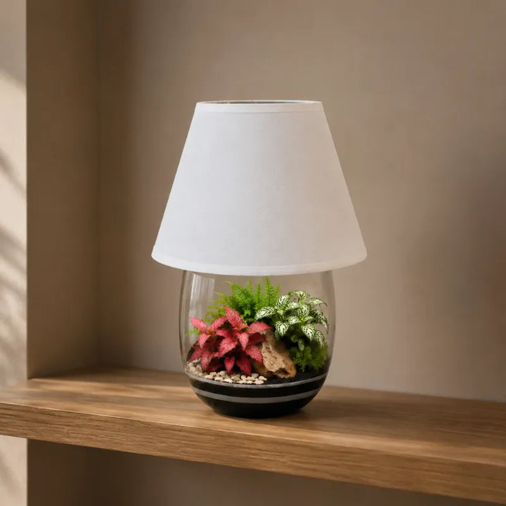 Terrarium Oasi Lux Elegant inserito in una lampada da tavolo con paralume bianco, perfetto per mensole, librerie e arredamento d'interni contemporaneo.