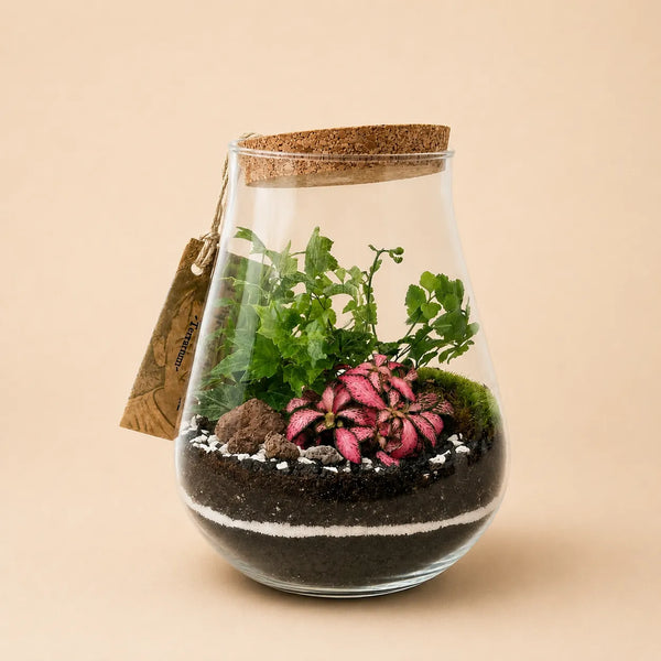 Terrarium Teo con piante verdi