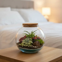Terrarium in vetro con piante tropicali decorative posizionato su comodino in camera da letto moderna e luminosa.