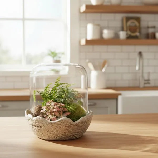 Terrarium in campana di vetro con composizione di piante verdi e muschio su piano in legno in cucina luminosa, soluzione decorativa per ambienti interni.