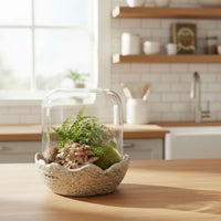 Terrarium in campana di vetro con composizione di piante verdi e muschio su piano in legno in cucina luminosa, soluzione decorativa per ambienti interni.