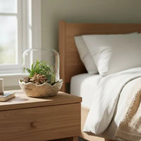 Terrarium in campana di vetro con piante verdi decorative posizionato su comodino in legno in camera da letto luminosa, complemento d’arredo elegante per interni.