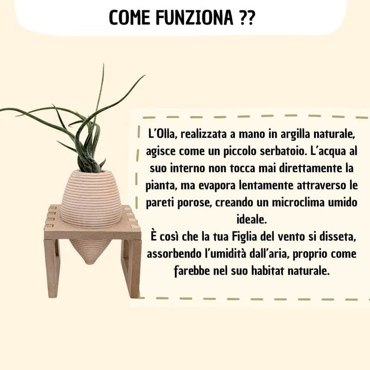 infografica che mostra e spiega come funziona 