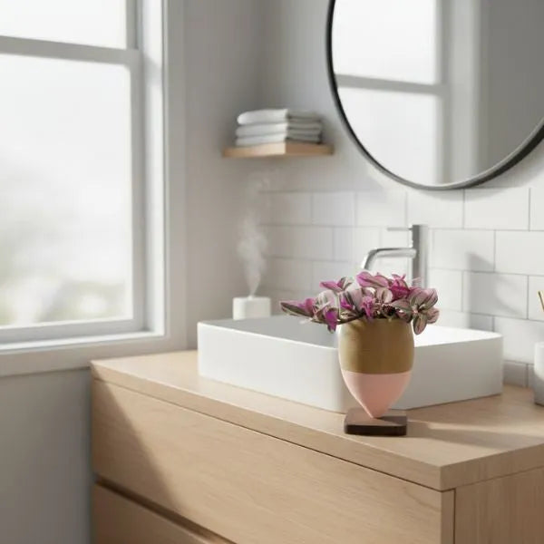 Tradescantia Nanouk - pianta da interno su mobile bagno moderno, con olla in argilla