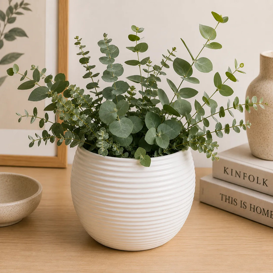 Vaso Sally bianco in ceramica con composizione di eucalipto verde, perfetto per decorare soggiorni, ingressi e ambienti luminosi in stile nordico e moderno.