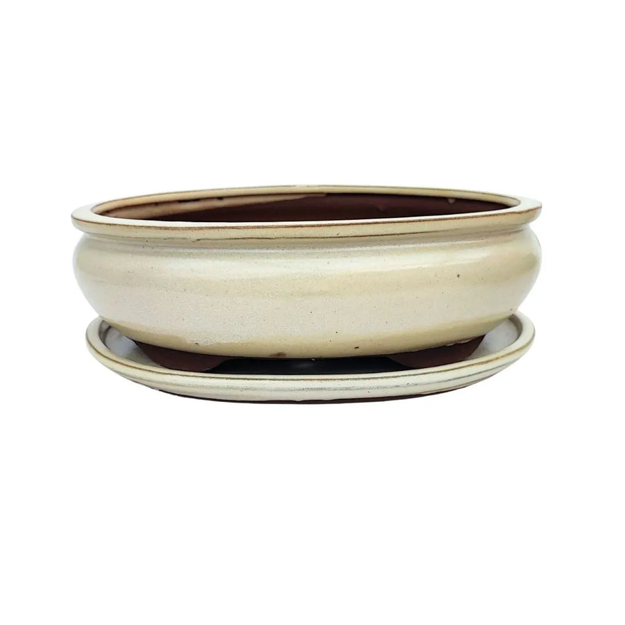  Vaso bonsai ovale in ceramica smaltata bianca con sottovaso, misura 26x20x9 cm