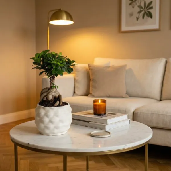 Bonsai Ficus Ginseng - dettaglio su tavolino in marmo in un soggiorno moderno