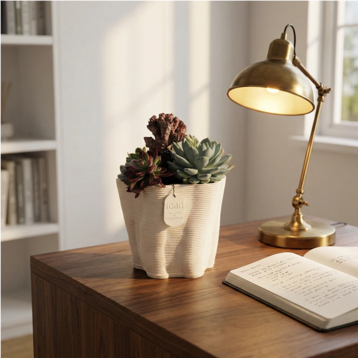 Composizione di piante grasse succulente in vaso decorativo posizionata su scrivania in legno in studio luminoso.