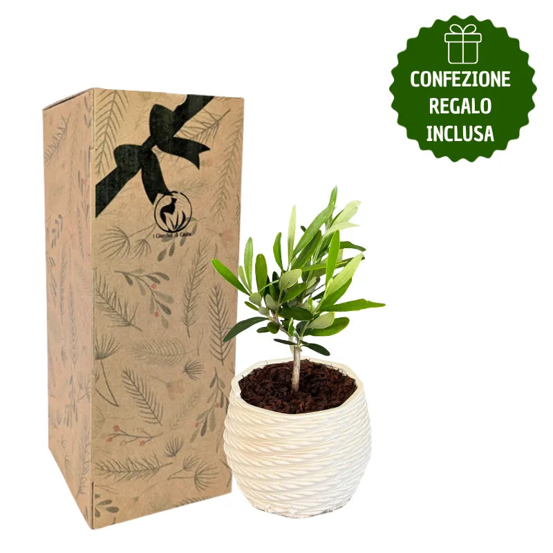 i Giardini di Giulia 