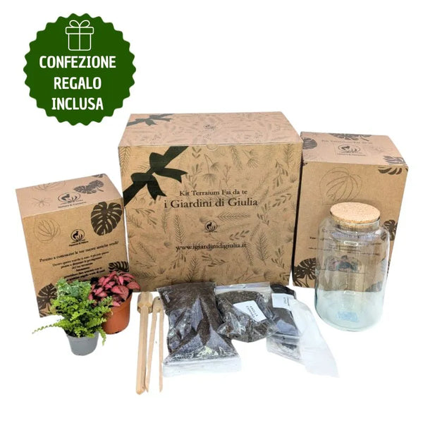 Kit Terrarium piccolo con Piante Vere e Confezione Regalo