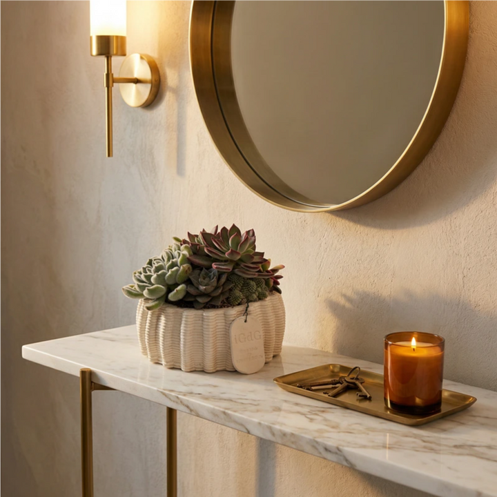 Composizione di piante grasse in vaso di argilla Dioniso H15 cm su consolle da ingresso con specchio, decorazione elegante per casa con succulente ornamentali.