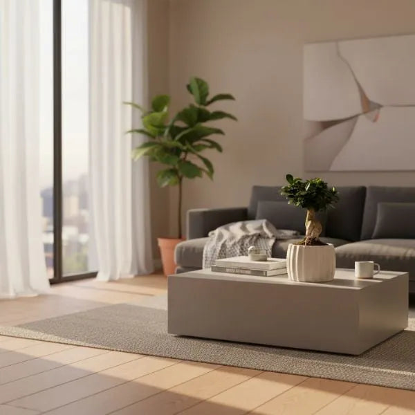 Bonsai Ficus Ginseng in vaso di ceramica su tavolino in soggiorno moderno - pianta da interno