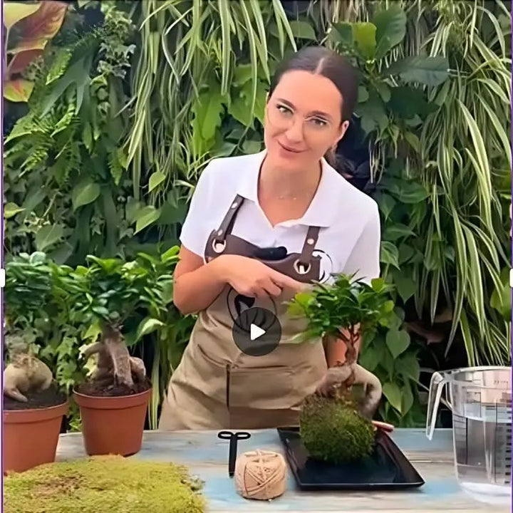 Tutorial Kokedama con esperta de I Giardini di Giulia: creazione guidata con bonsai, muschio naturale, spago e strumenti – laboratorio green con piante da interno