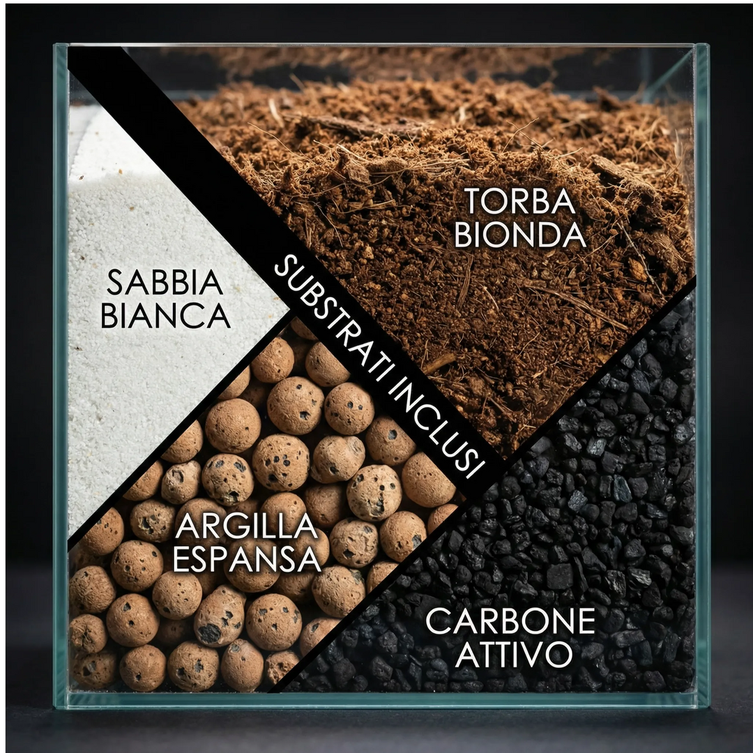 Kit Terrarium Completo - vista dall'alto del contenitore vuoto e dei substrati
