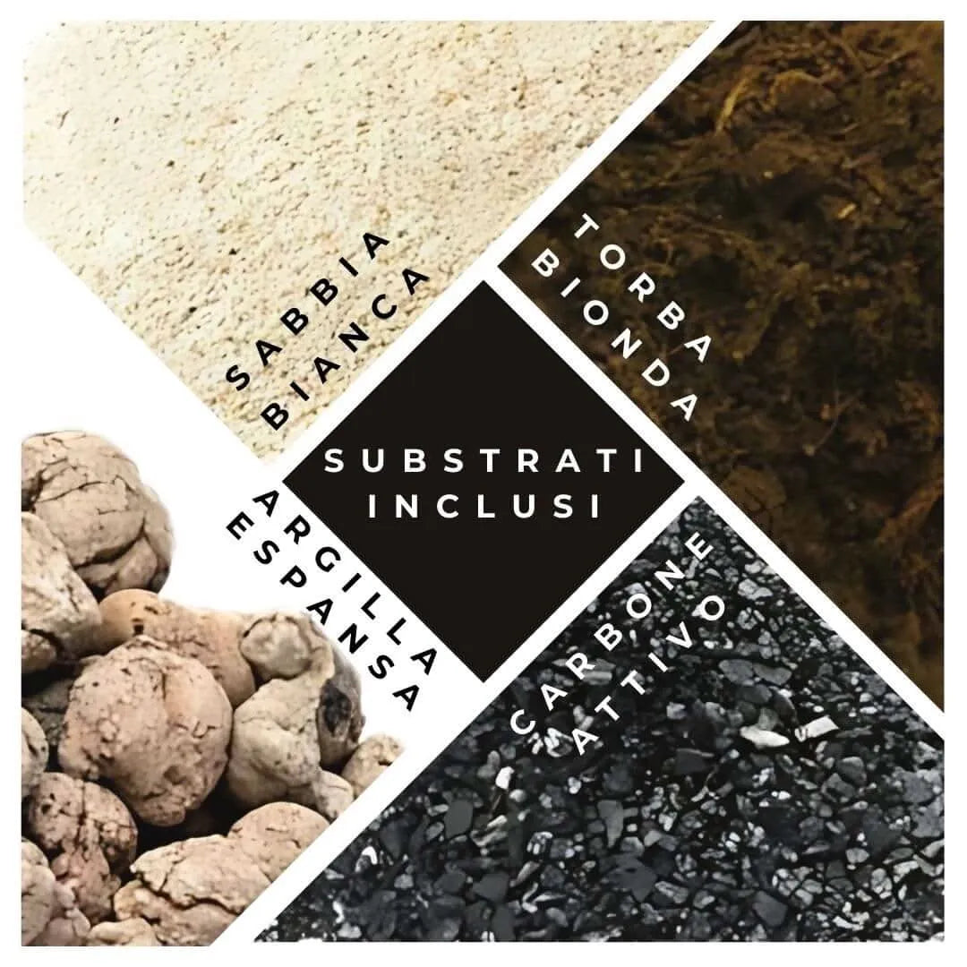 Substrati per terrarium - sabbia, torba, argilla e carbone attivo pronti all'uso