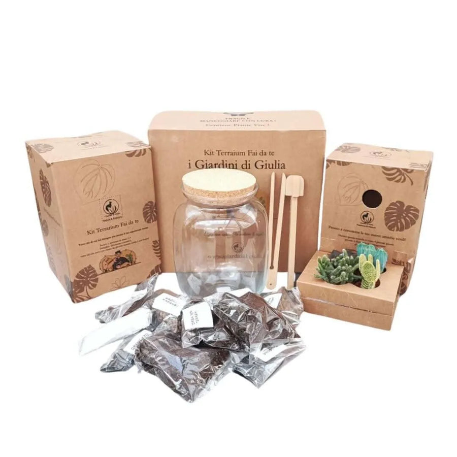 Kit terrarium fai da te con piante grasse - assemblaggio completo con attrezzi sul tavolo