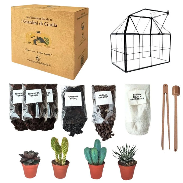 Kit Terrarium Fai-da-Te geometrico con piante grasse