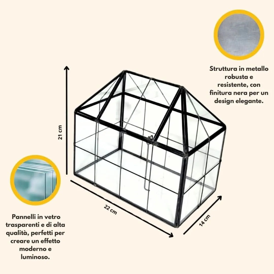 Dimensioni del contenitore in vetro per il Kit Terrarium Fai-da-Te