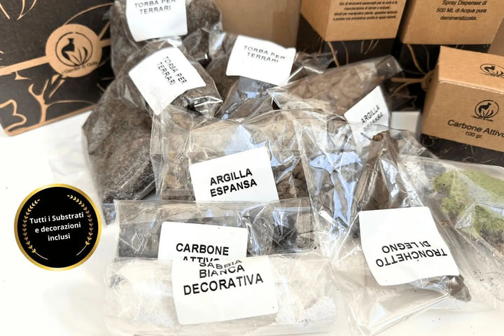 Kit Terrarium Fai Da Te Master - contenitore in vetro con tappo in sughero e sprayer