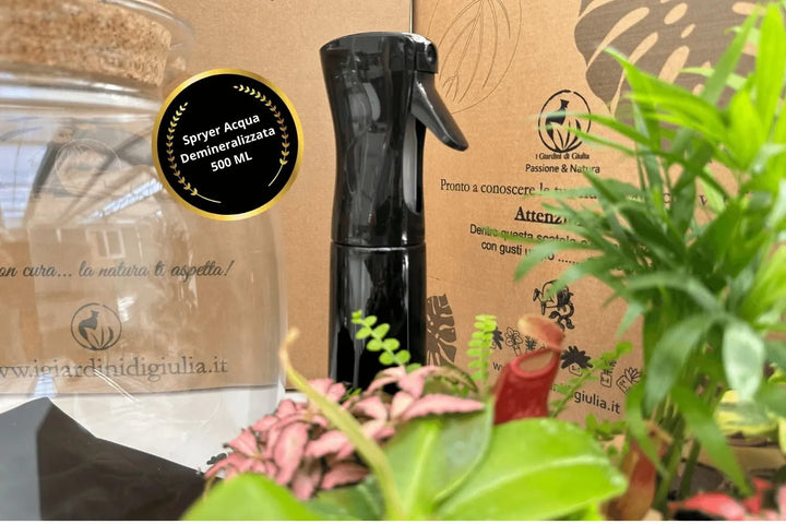 Kit Terrarium Fai Da Te Master - attrezzi in acciaio nero e substrati naturali