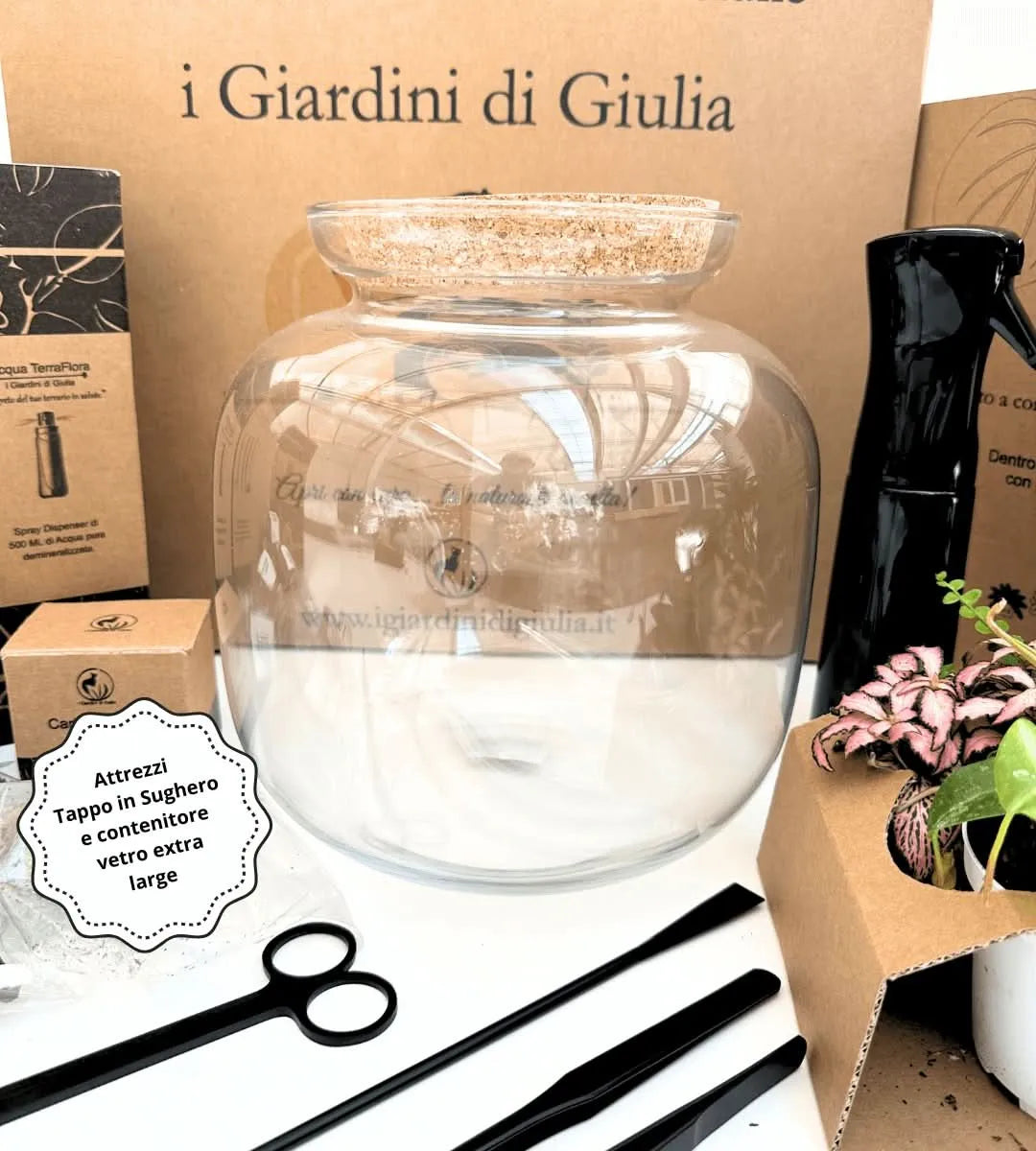 Kit Terrarium Fai Da Te Master - vista dall'alto del giardino in vetro assemblato