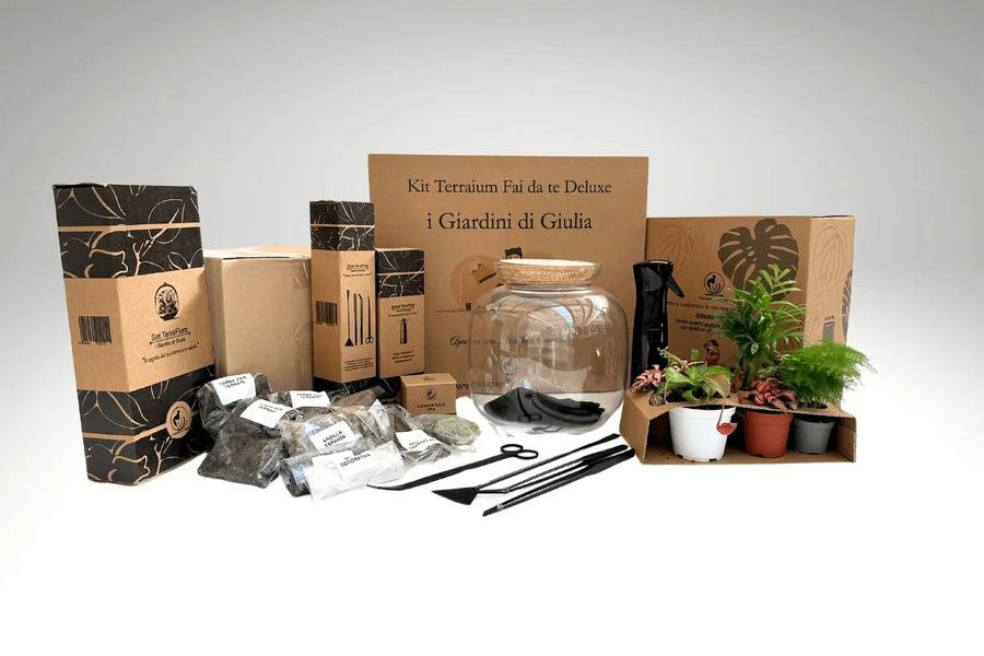 Kit Terrarium Fai Da Te Master - composizione completa con piante e accessori