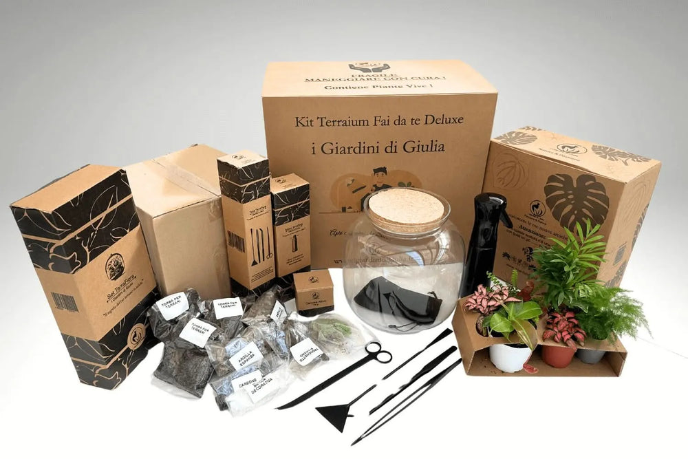 Kit Terrarium Fai Da Te Master - dettaglio delle piante assortite nel contenitore di vetro