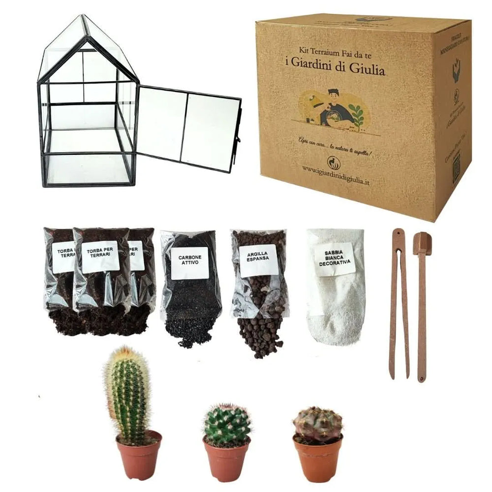Contenuto del Kit Terrarium Fai da Te con piante grasse: serra geometrica, 3 cactus, substrati e attrezzi