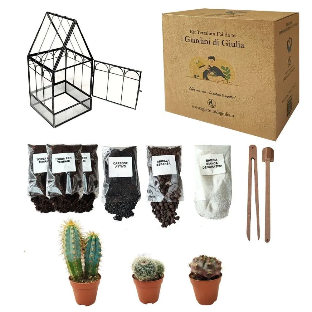 Kit Terrarium Fai Da Te completo di piante grasse, substrati e attrezzi su sfondo chiaro