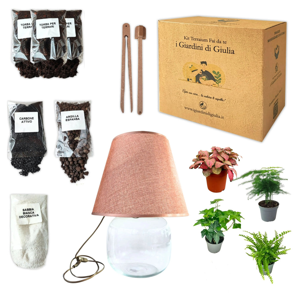 Kit Terrarium Lamparium Grande con piante verdi - vista laterale