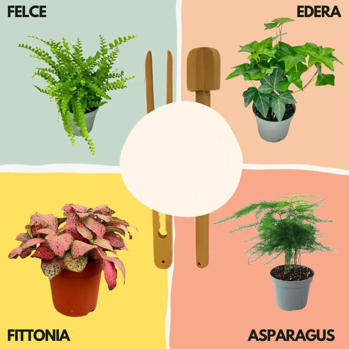 Kit Terrarium Lamparium Grande con piante verdi - dettaglio superiore e lampada